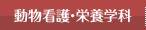 動物看護学科