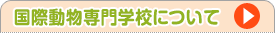学校案内