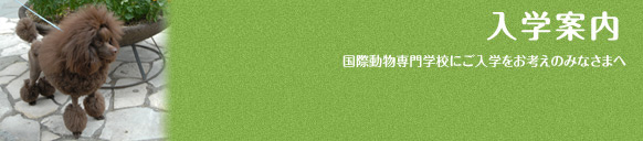 入学案内
