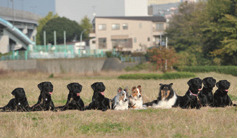 カリキュラムイメージ