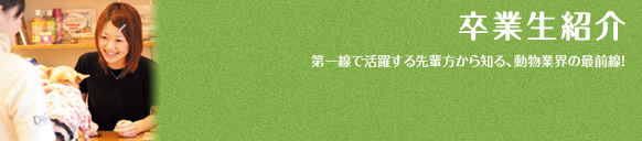 入学案内