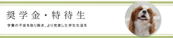 奨学金・特待生