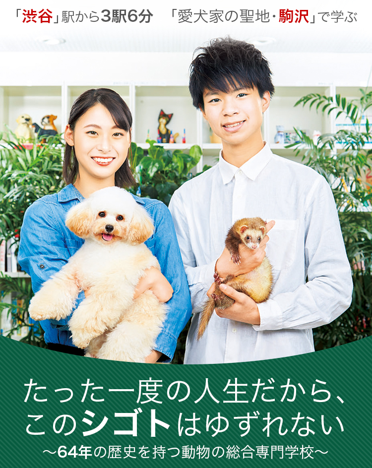 国際動物専門学校 / 動物看護師、トリマー、動物理学療法の国際動物