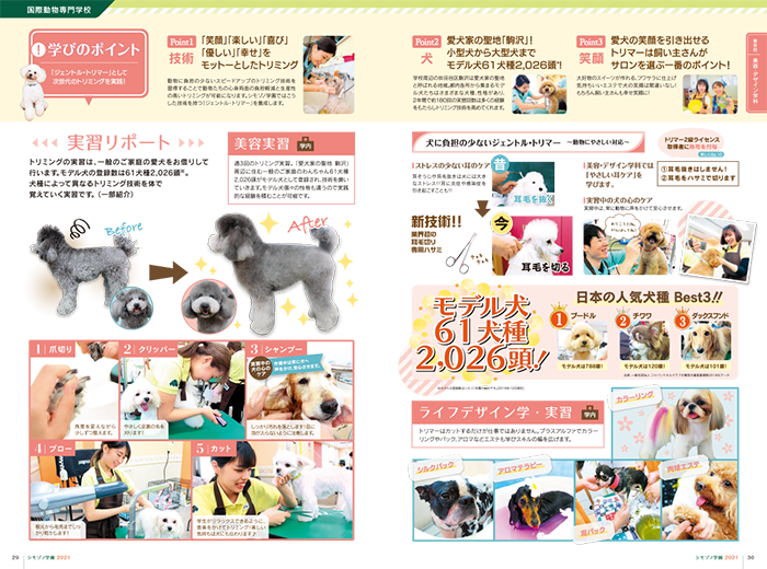 パンフレット請求フォーム 動物看護師 トリマー 動物理学療法の国際動物専門学校 パンフレット請求フォーム 動物看護師 トリマー 動物理学療法の国際動物専門学校