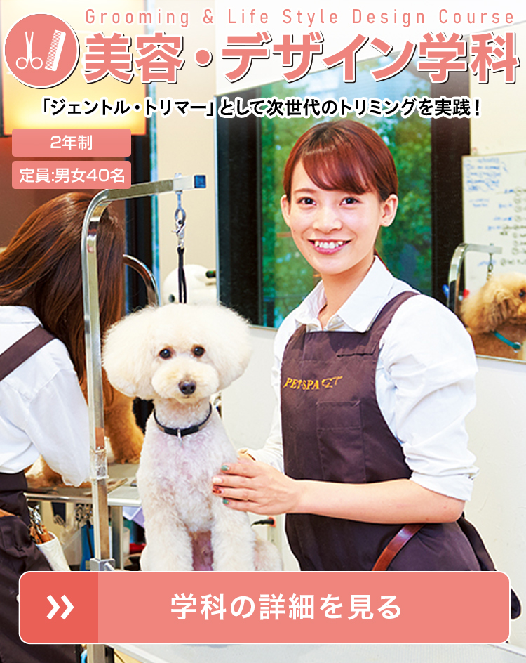 【美品】動物看護専門誌　2019年1月～2020年12月　計24冊 as No.355 （2019年8月号）観察力をみがこう！正｜EDUONE ONLINE STORE